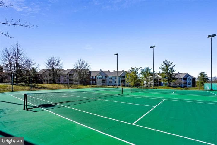 822 Square Nail Court photo 78
