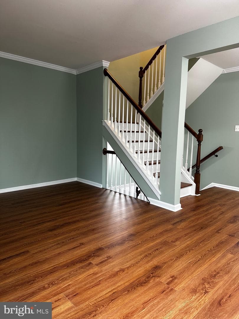 1346 Cox Cove Court photo 49
