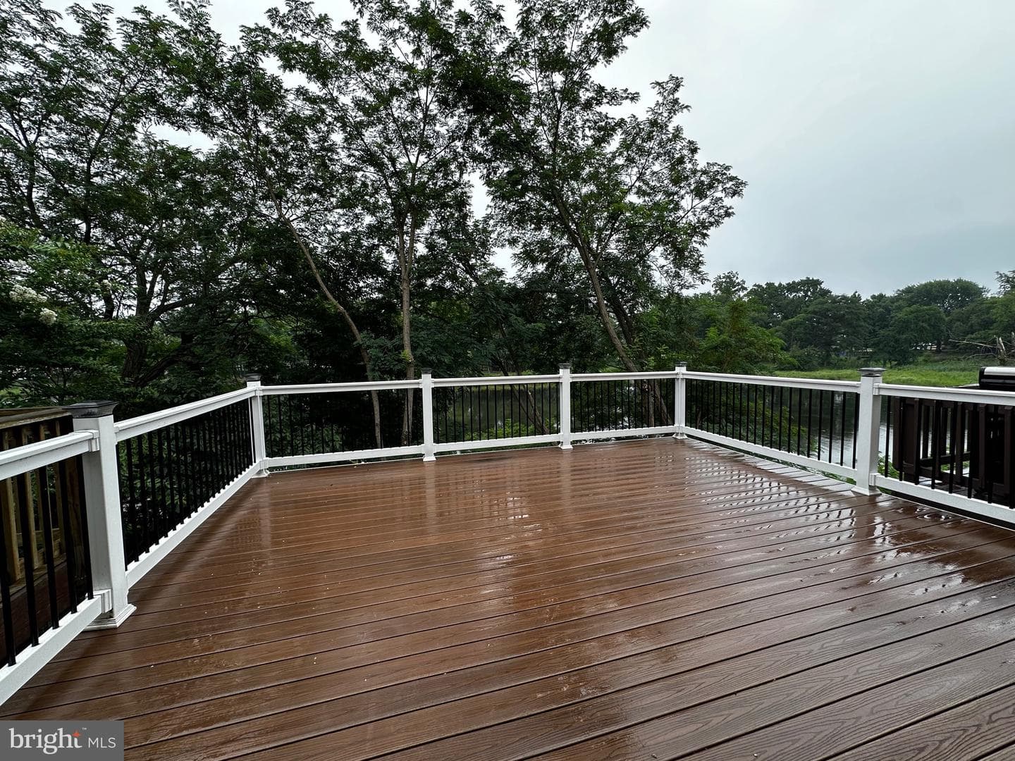 1346 Cox Cove Court photo 72