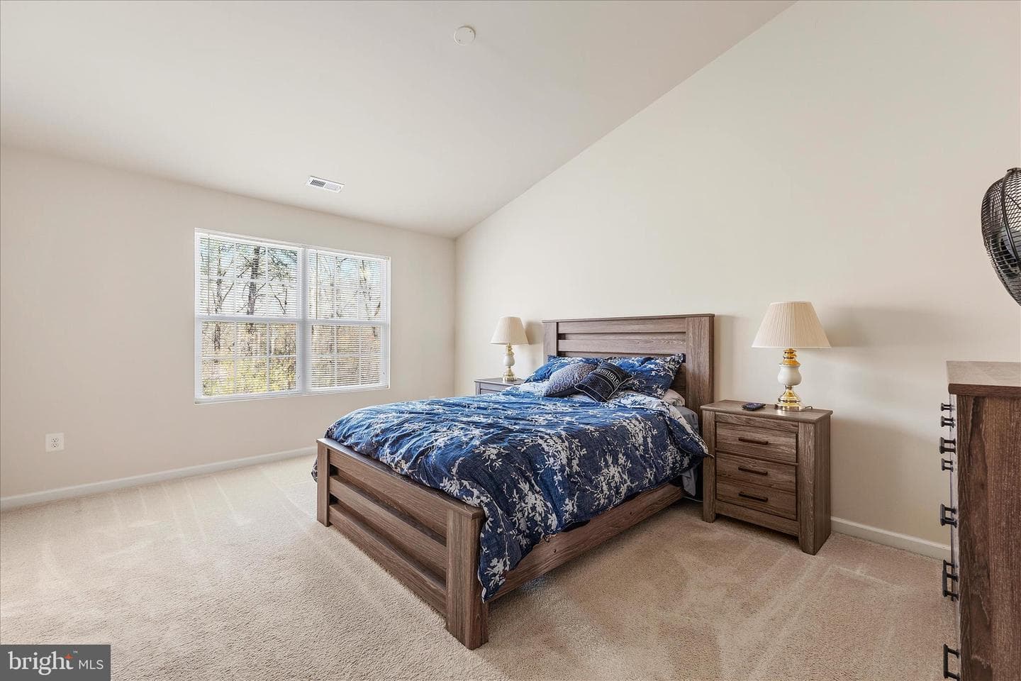1038 Pultney Lane photo 16