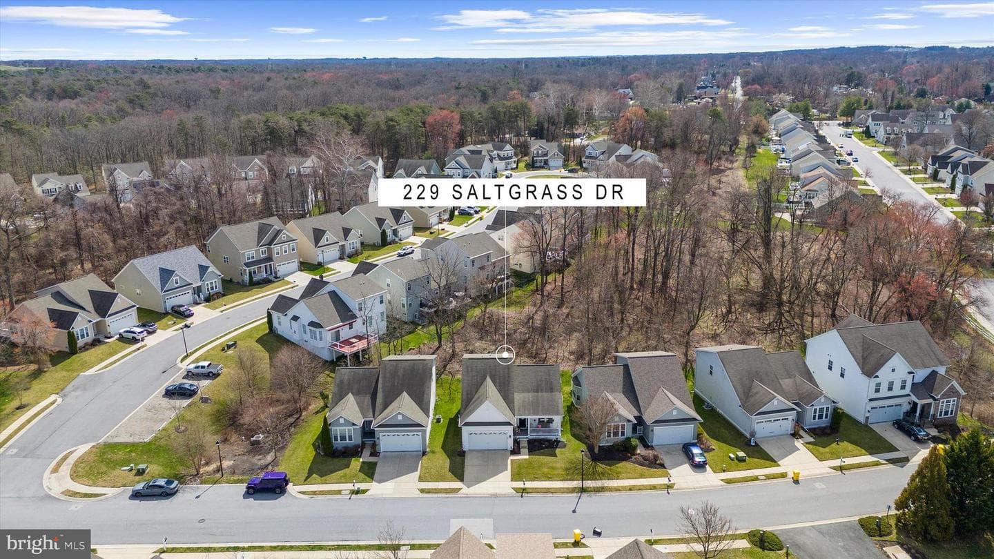 229 Saltgrass Drive photo 58