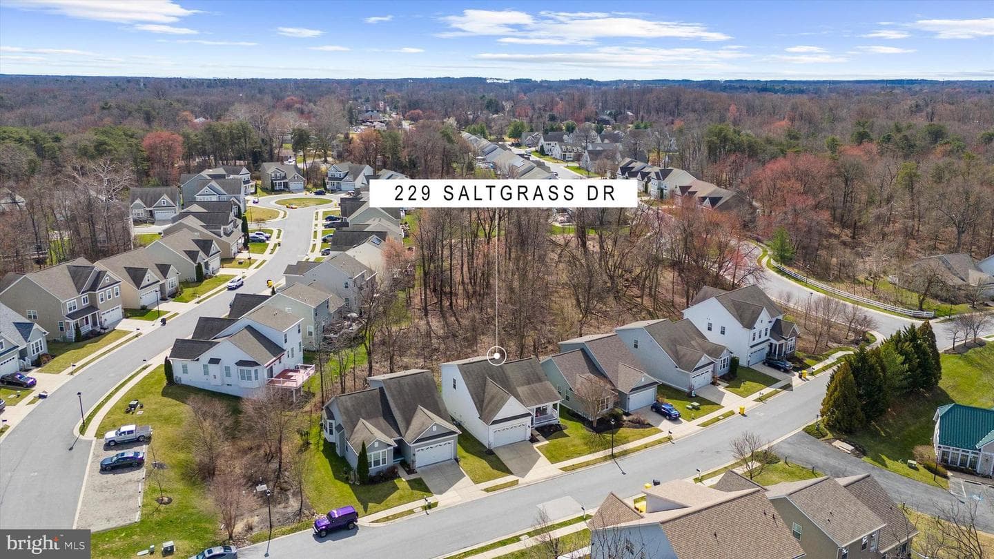 229 Saltgrass Drive photo 59