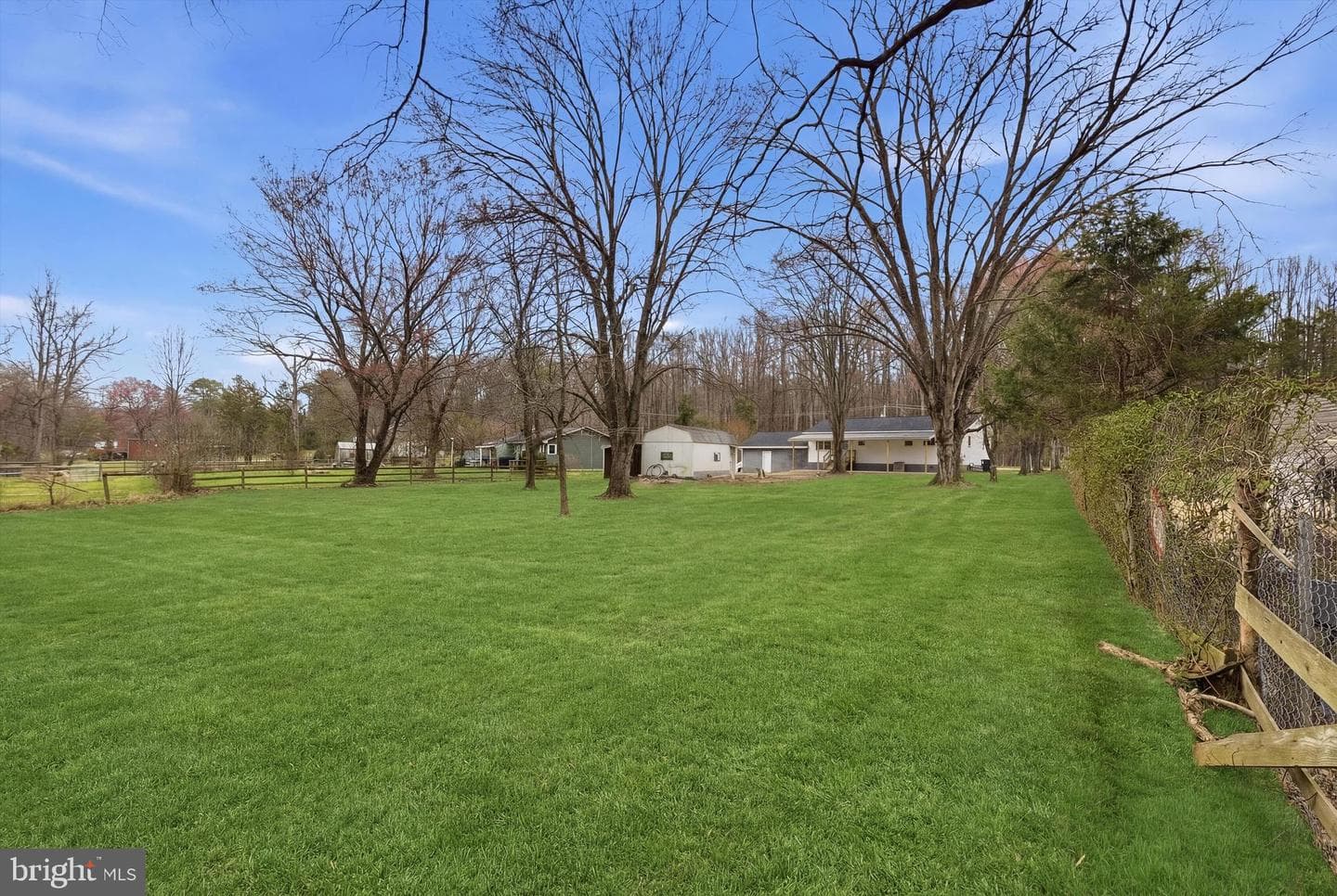 7258 Forest Avenue photo 25