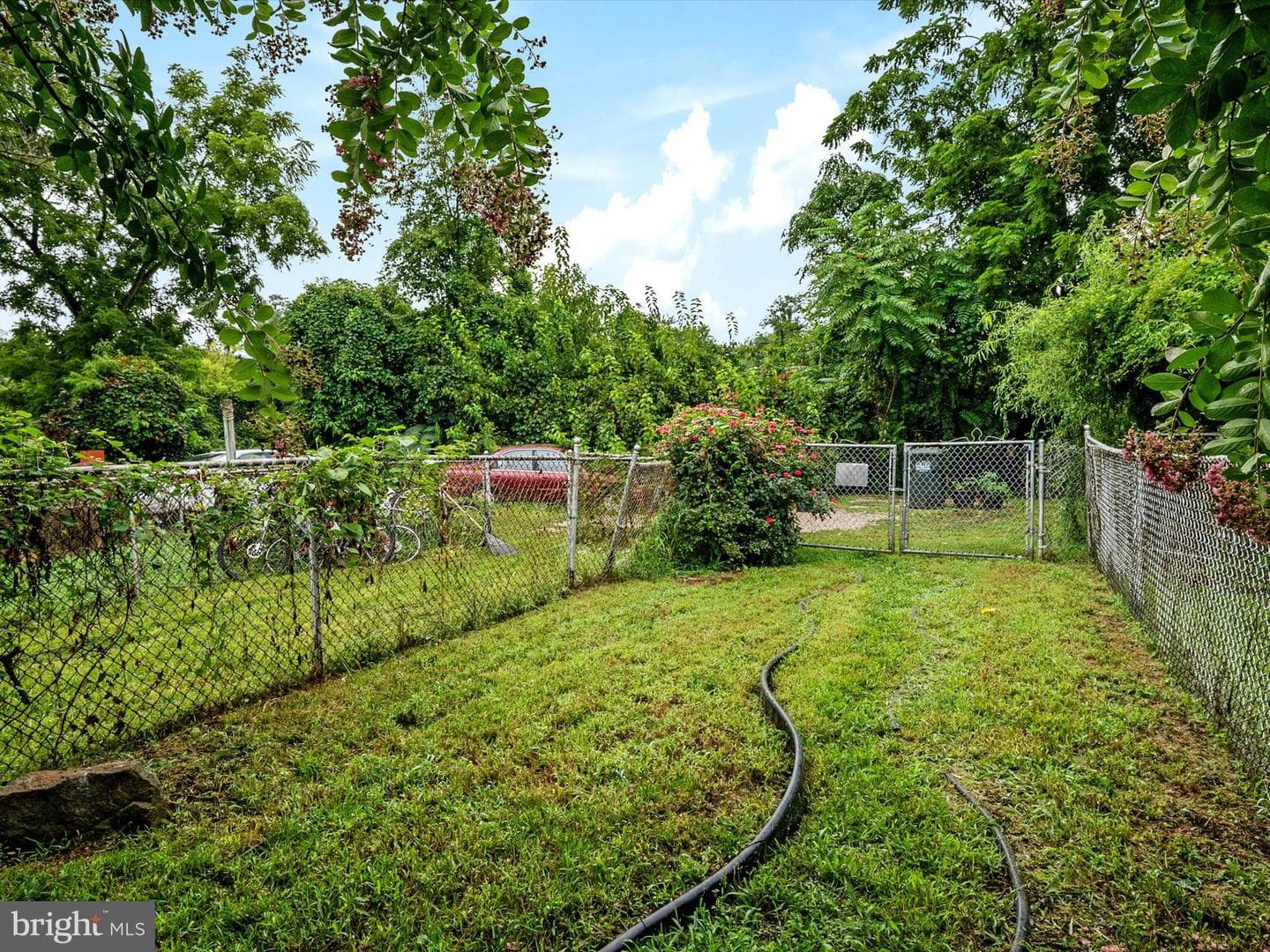 198 Clay Street photo 28