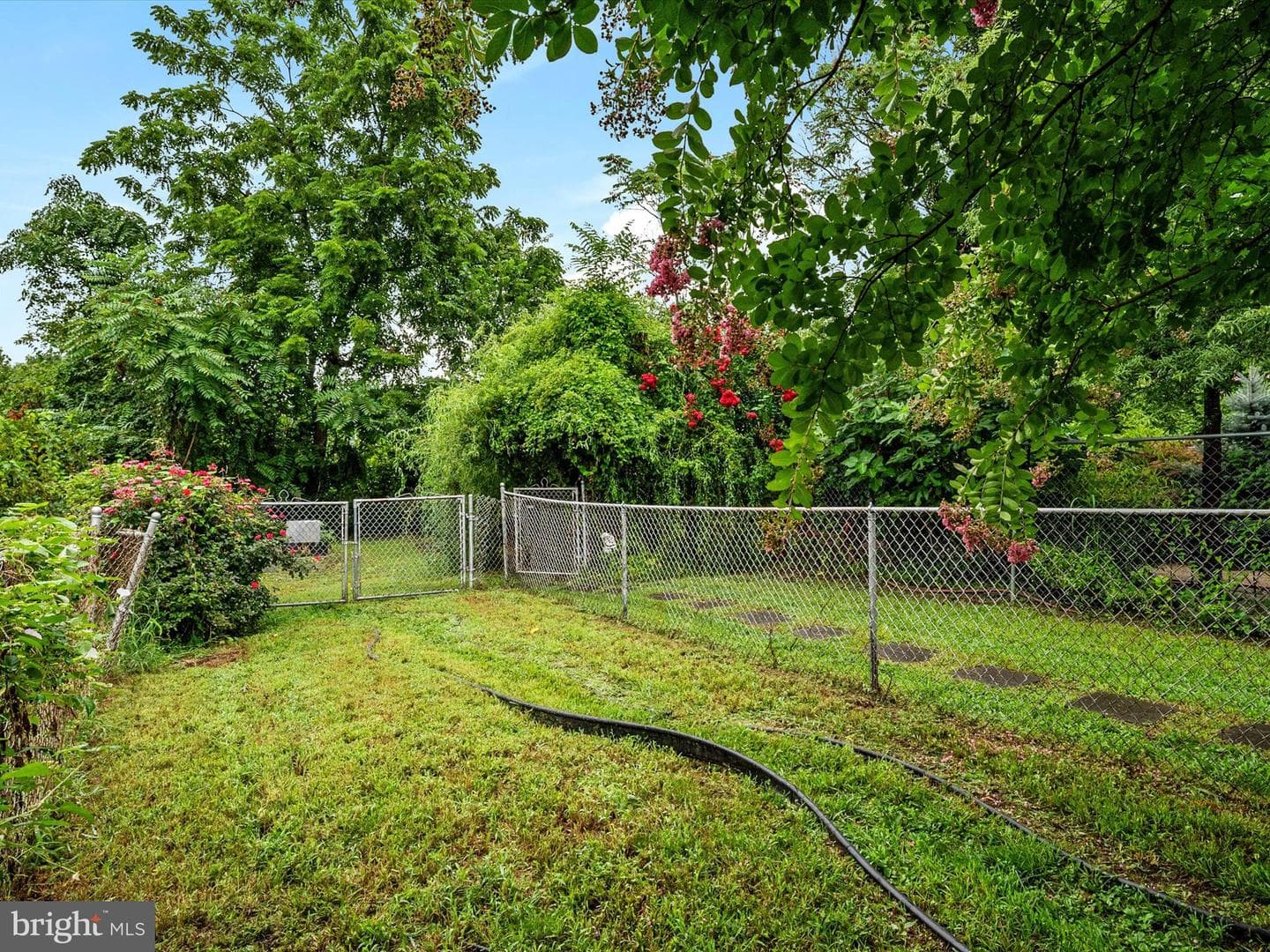 198 Clay Street photo 29