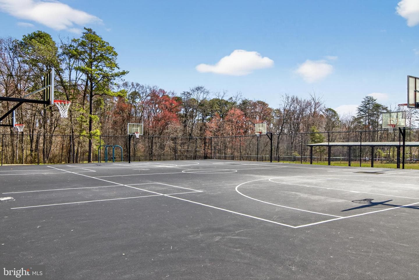 8013 Pink Lily Court photo 44