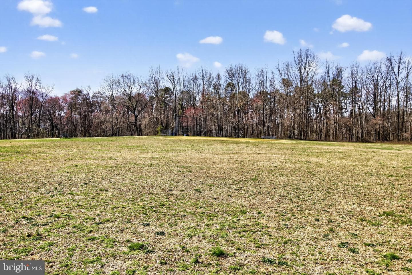 8013 Pink Lily Court photo 45
