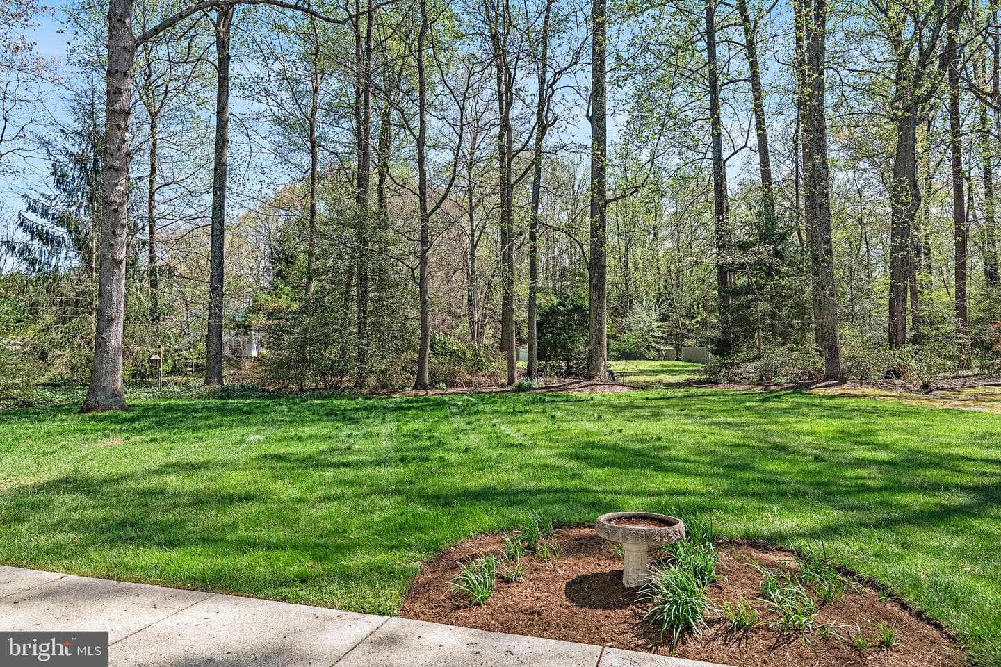 1788 Rochester Street photo 5
