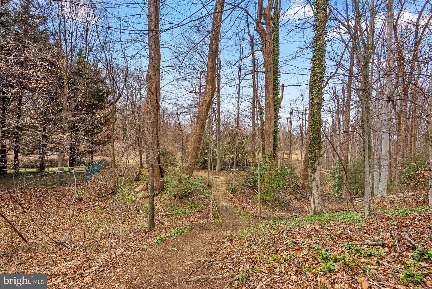 1866 Lynnfield Drive photo 52