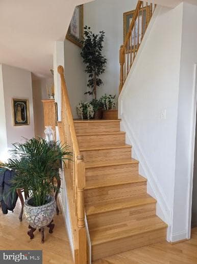 605 Lighthouse Landing Lane photo 19