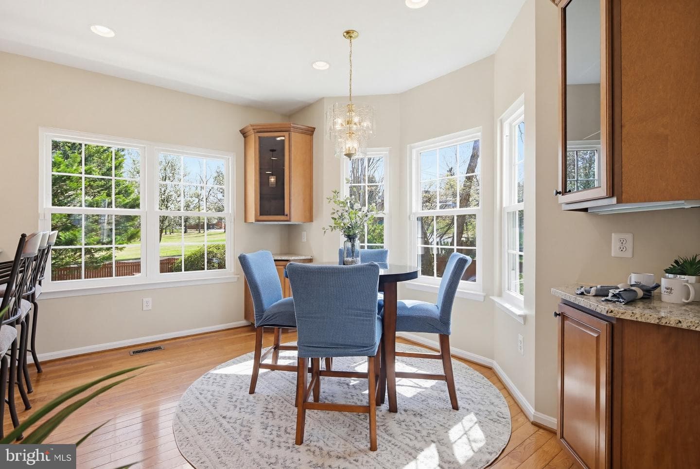 491 Lisa Avenue photo 6