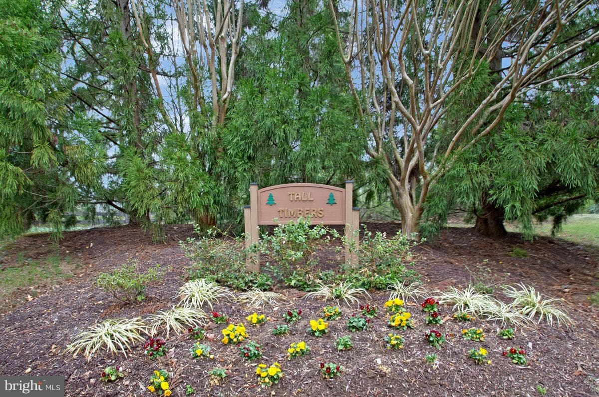 1333 Tall Timbers Drive photo 29