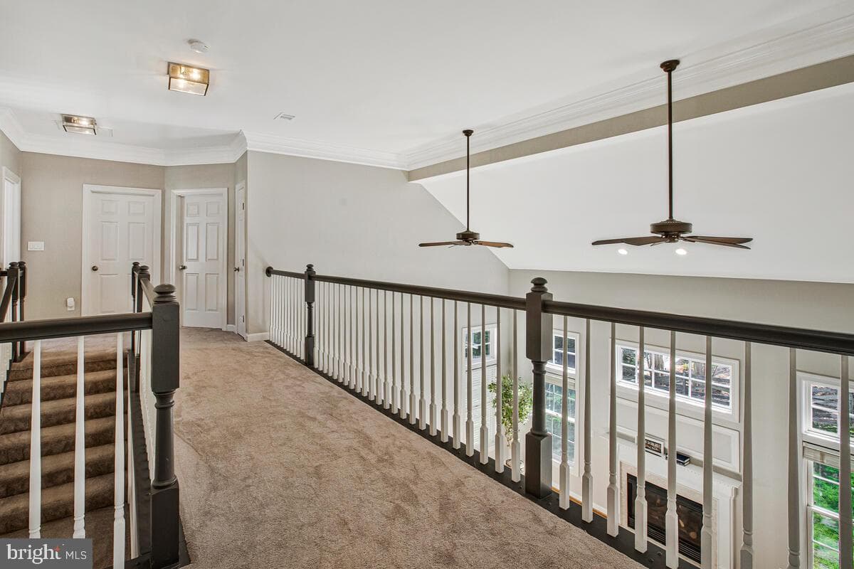 3421 Swallowtail Court photo 31