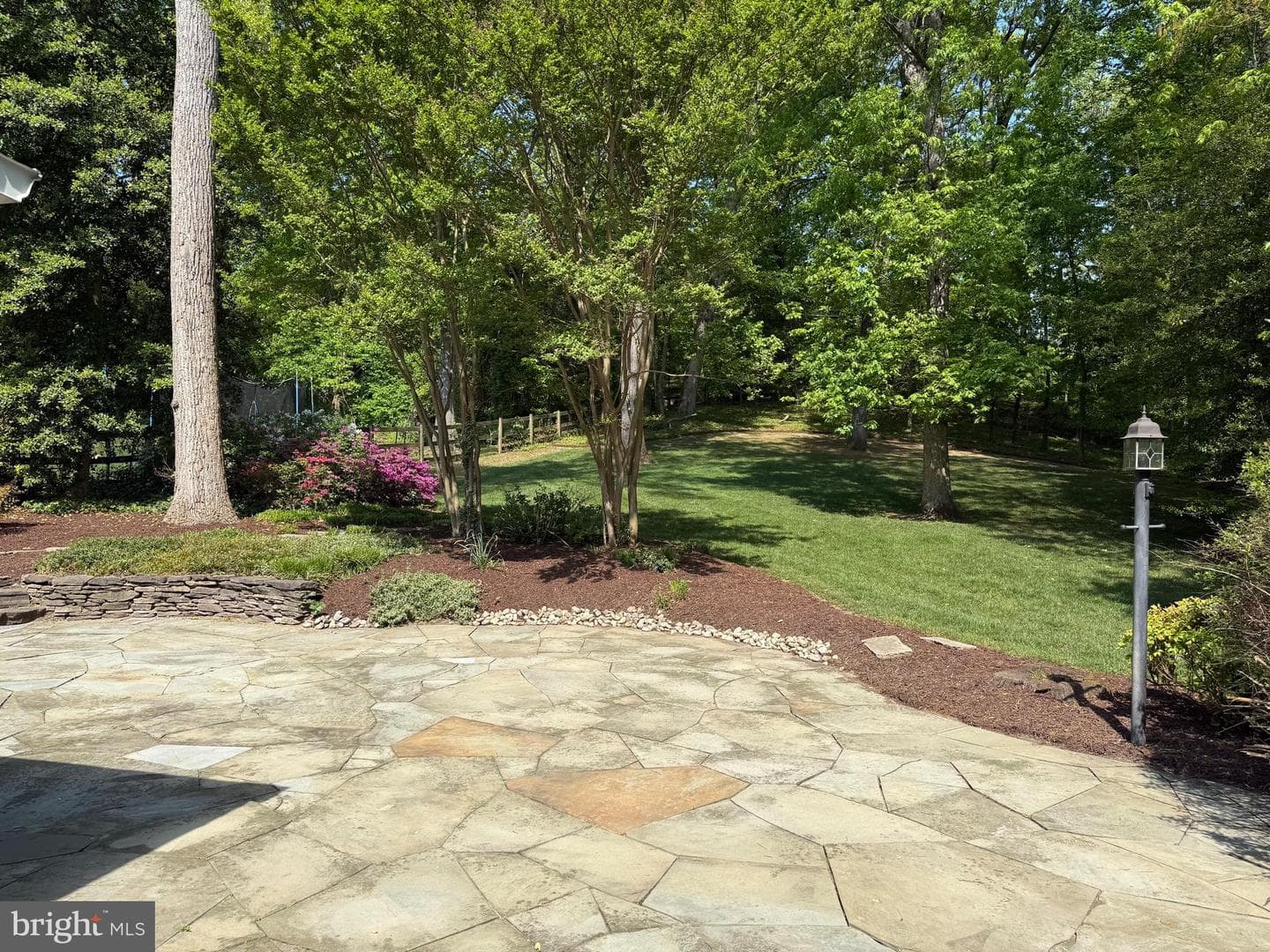 1041 Placid Court photo 48