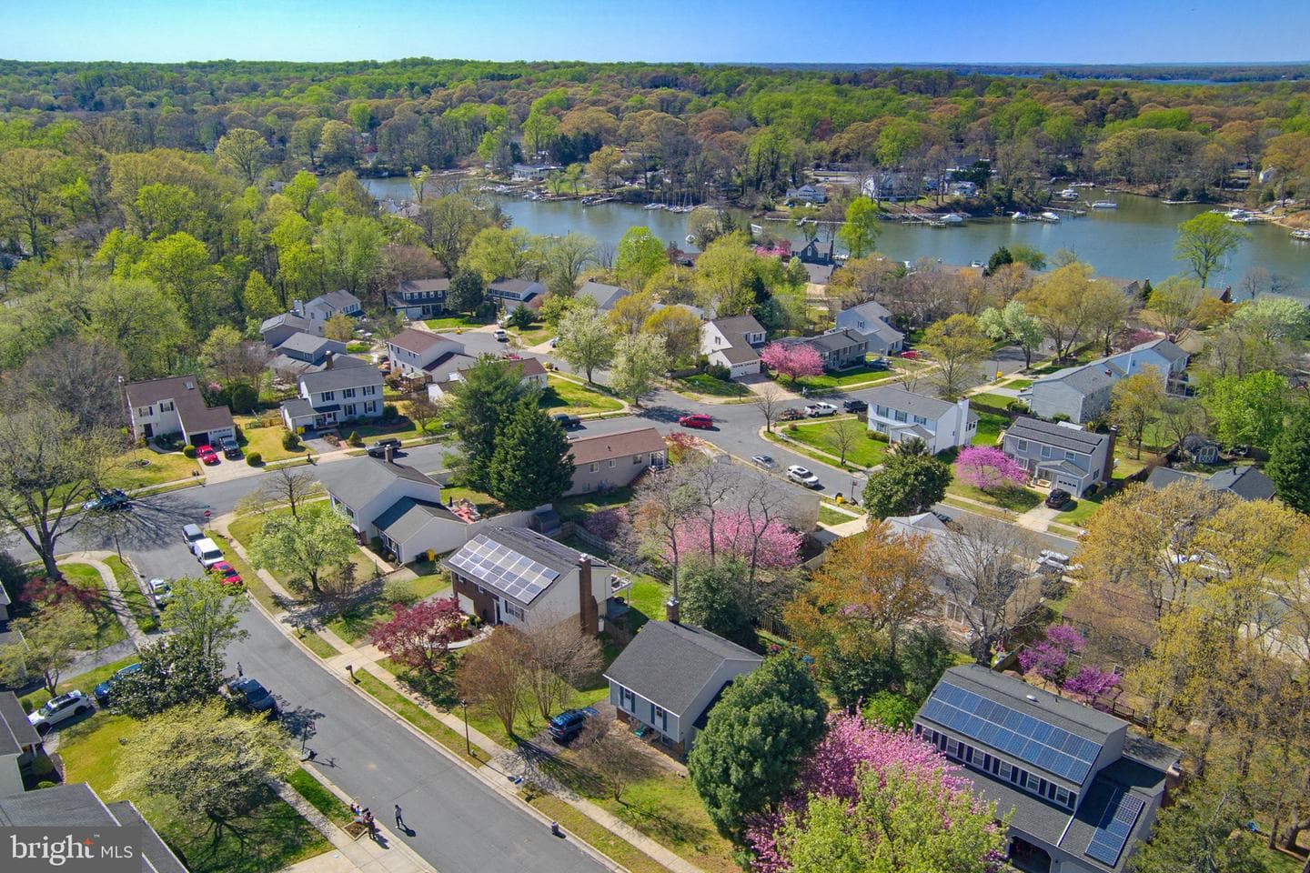 952 Seahorse Court photo 50