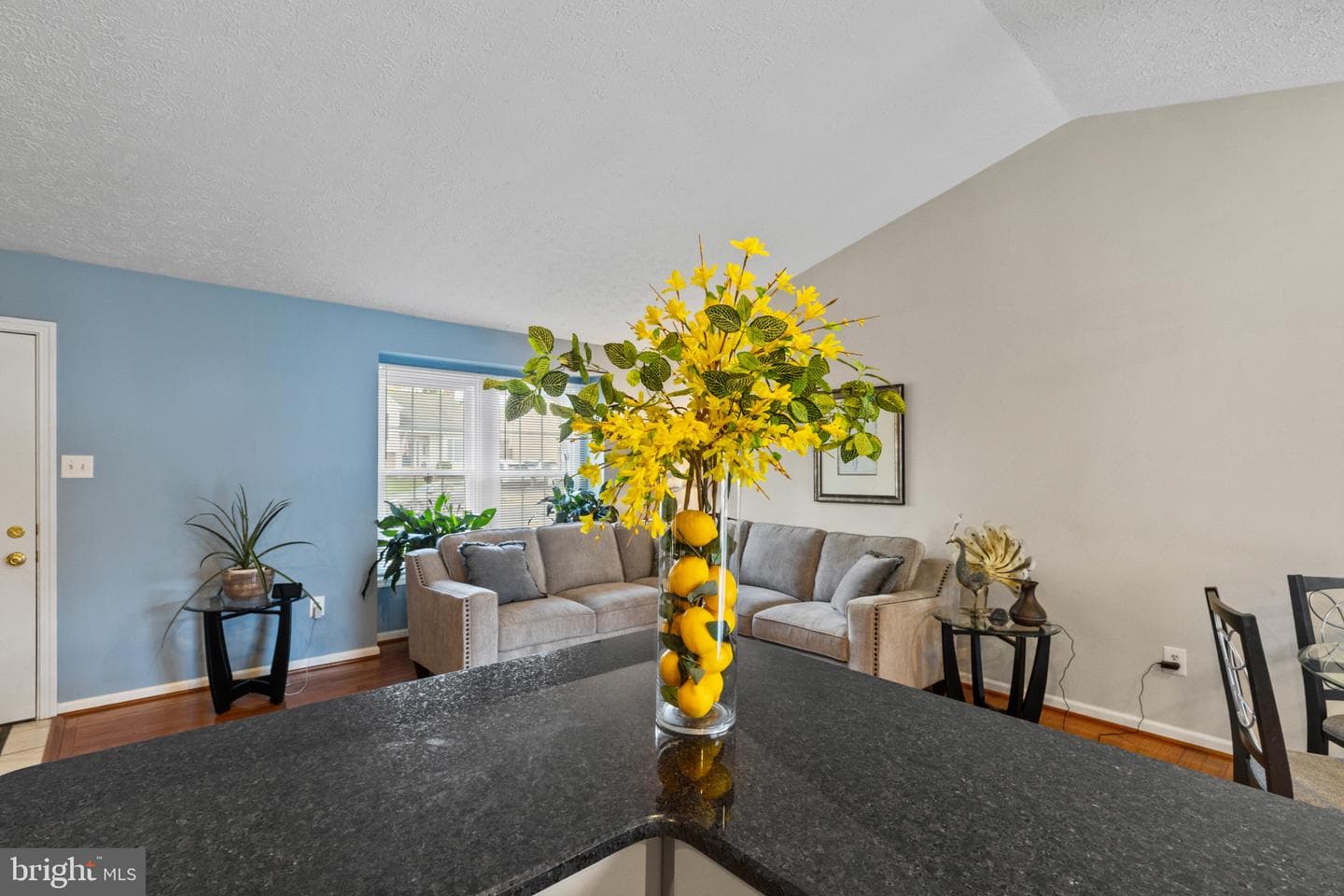 816 Sunnyfield Lane photo 5