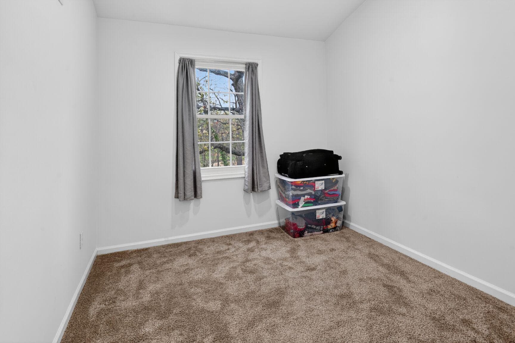 1012 Chestnut Haven photo 9