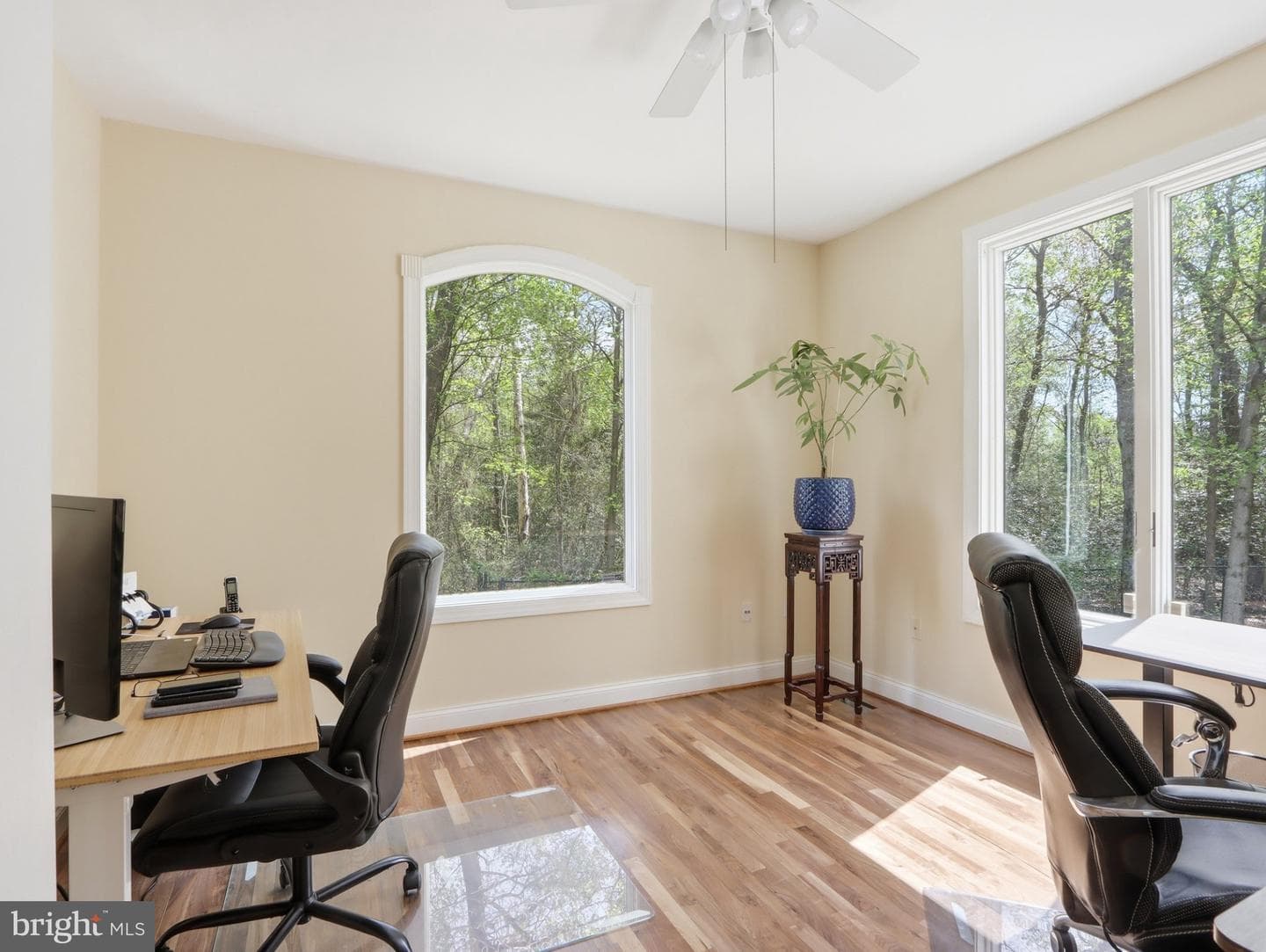 311 Riverdale Road photo 44