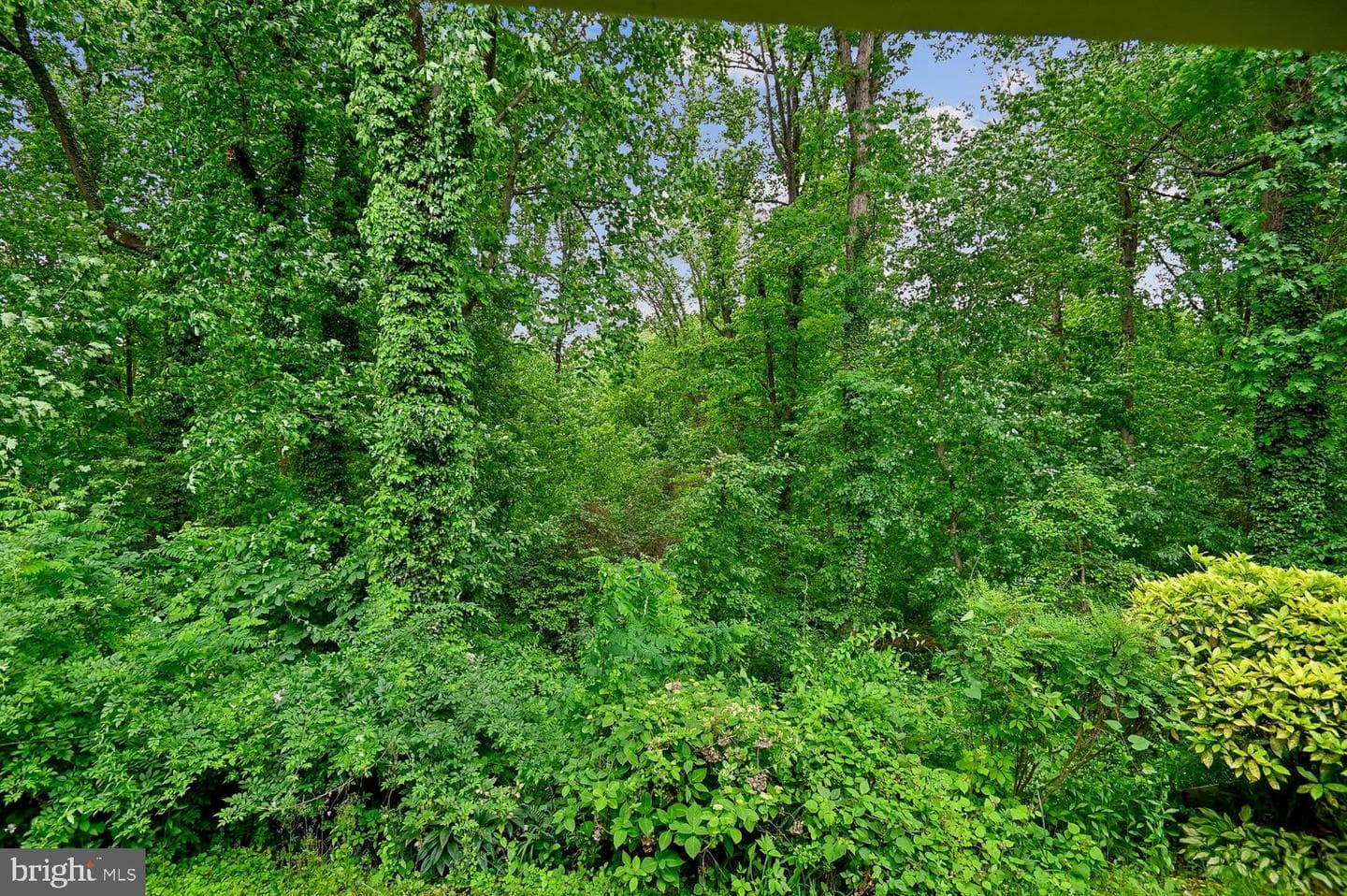 553 Bay Dale Court photo 55