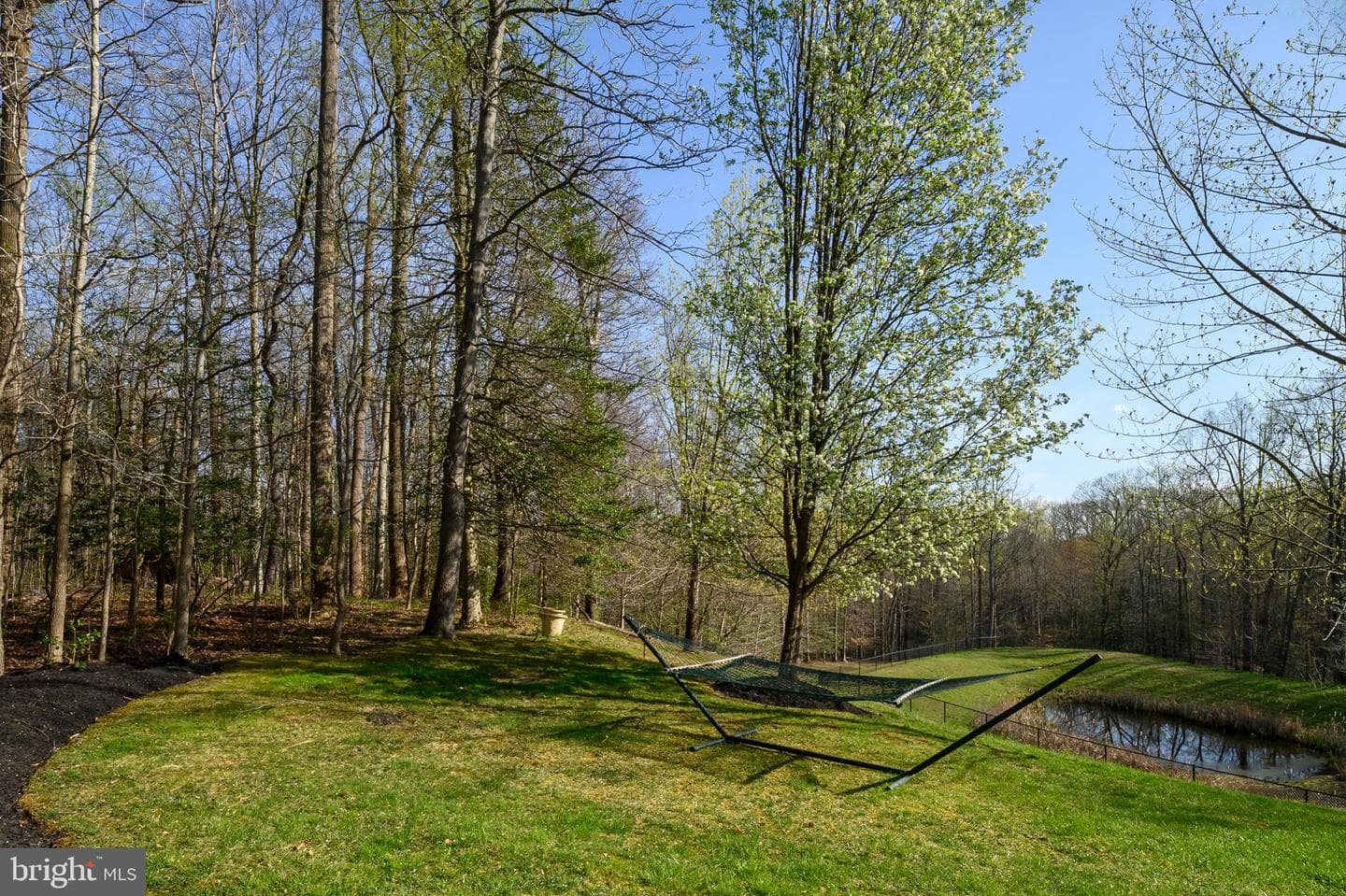 720 Fantail Court photo 61