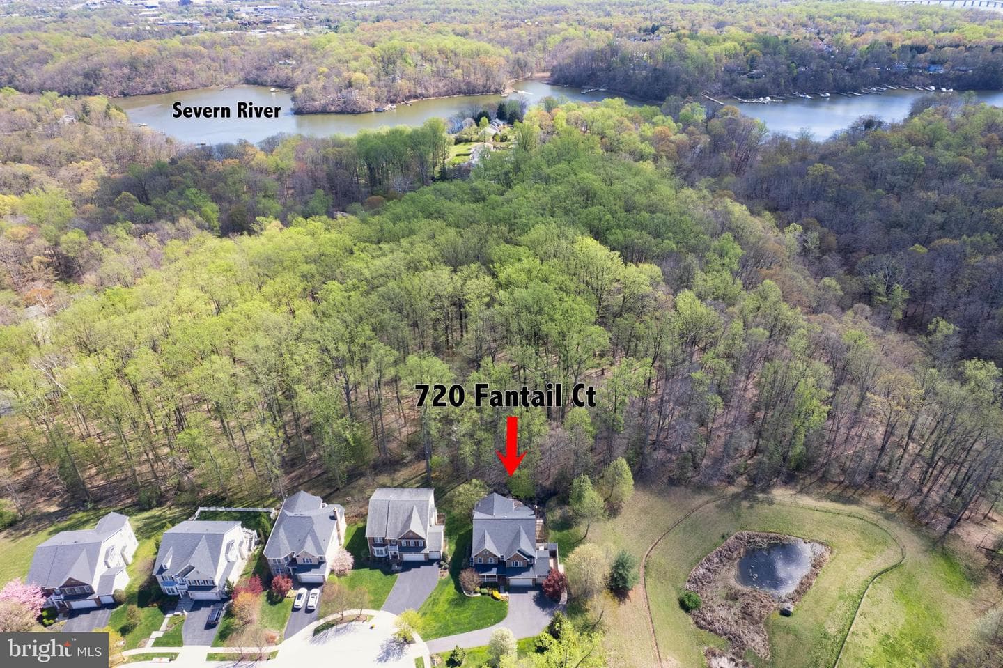 720 Fantail Court photo 73