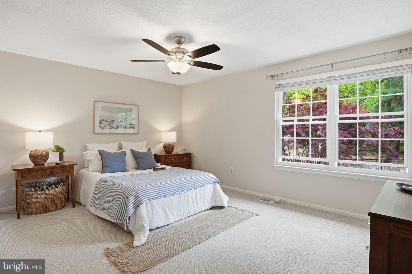 289 College Manor Drive photo 20