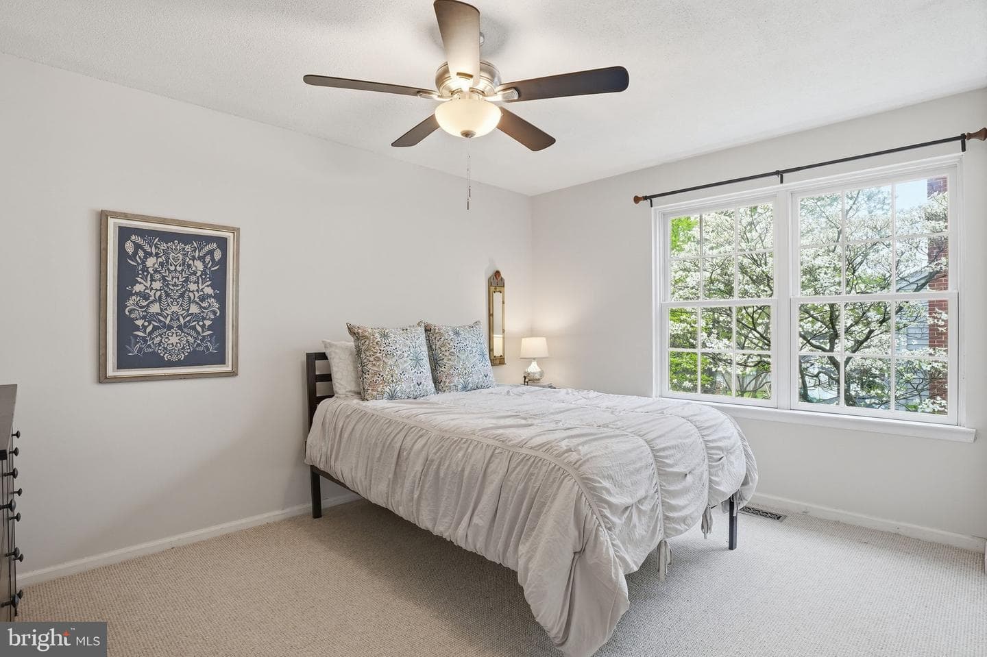 289 College Manor Drive photo 25
