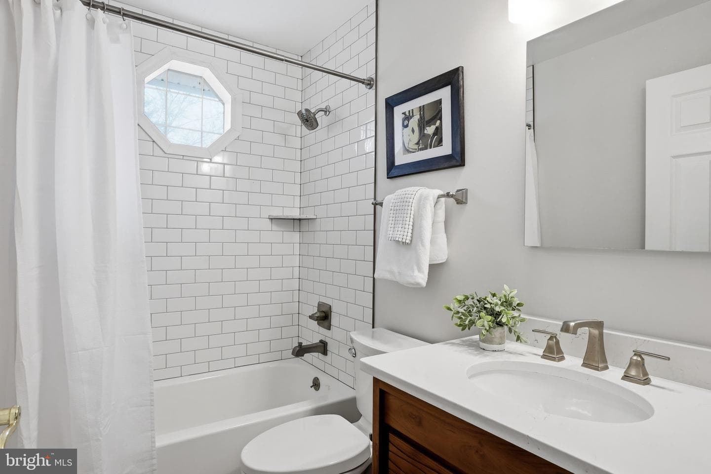 289 College Manor Drive photo 28