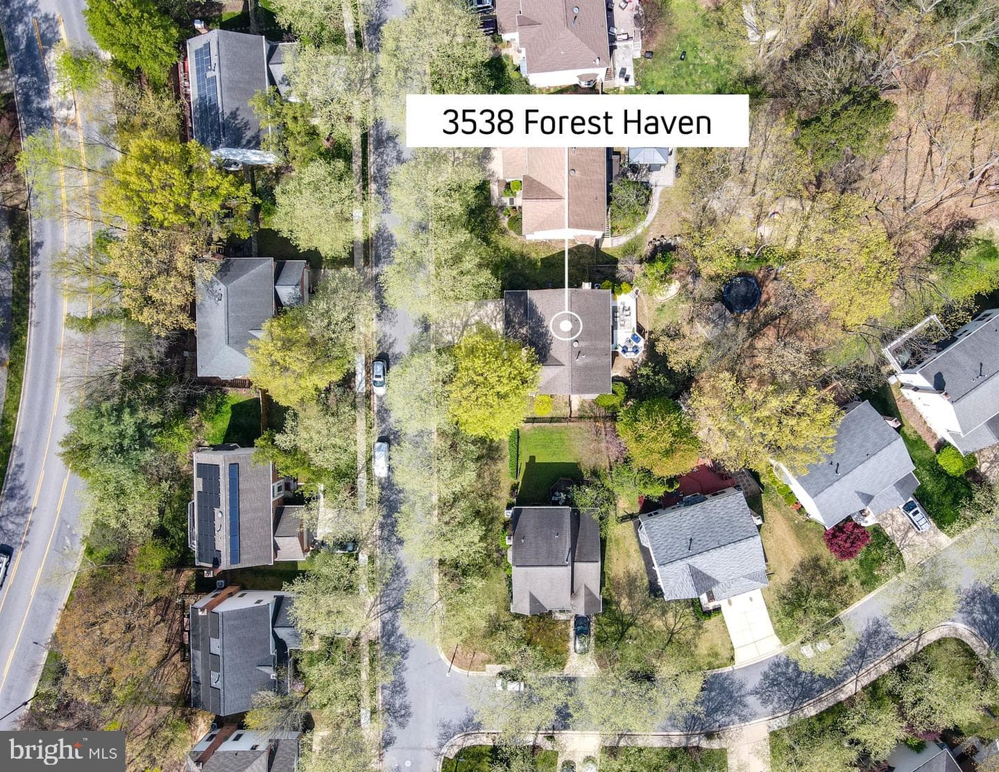 3538 Forest Haven Drive photo 66