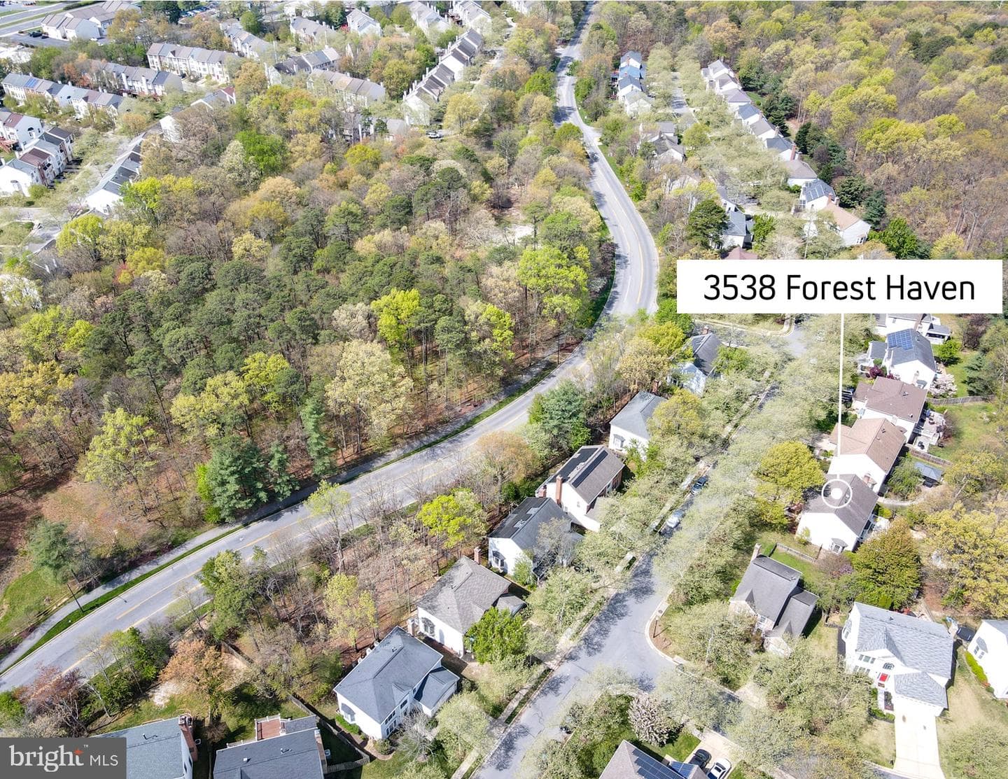 3538 Forest Haven Drive photo 68