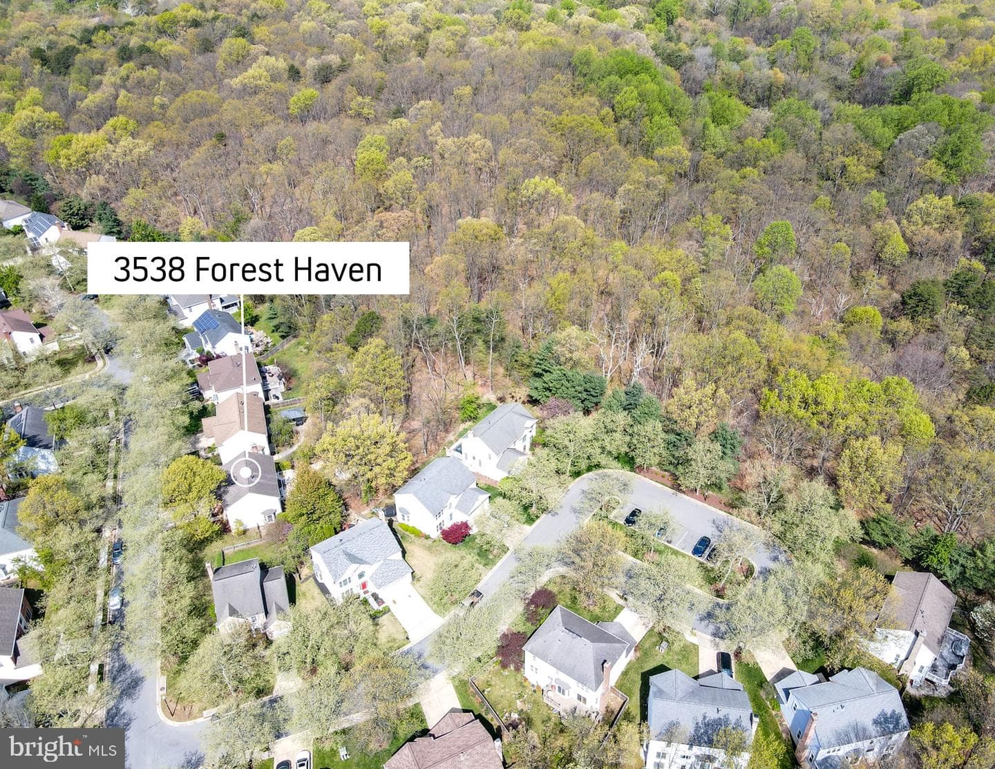 3538 Forest Haven Drive photo 69