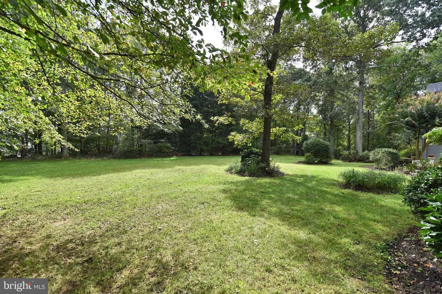 230 Ambleside Drive photo 62