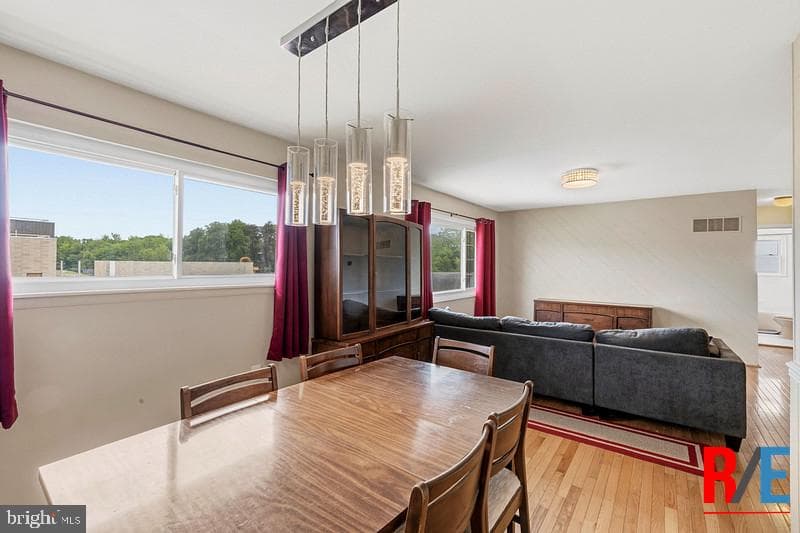 554 Lanny Court photo 8