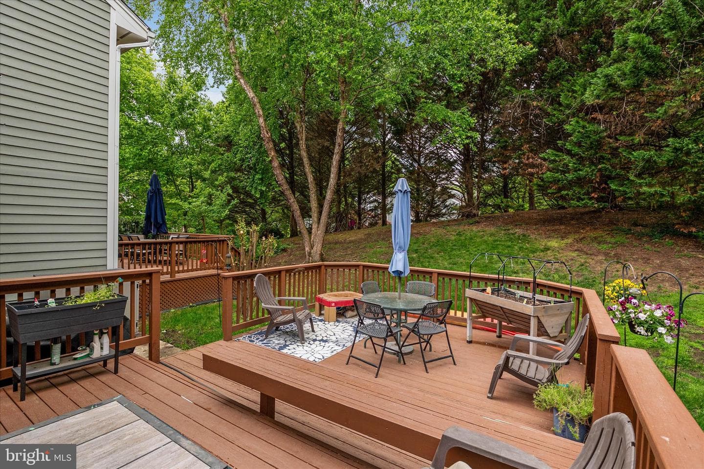 147 Spring Place Way photo 32