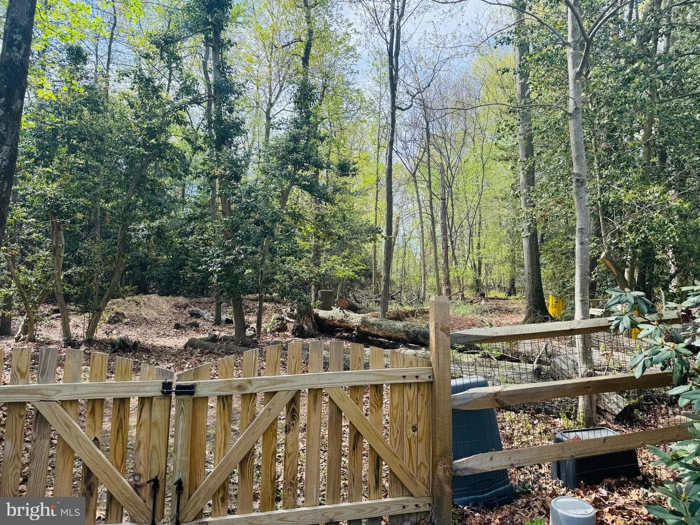 303 Swaying Oak Court photo 5