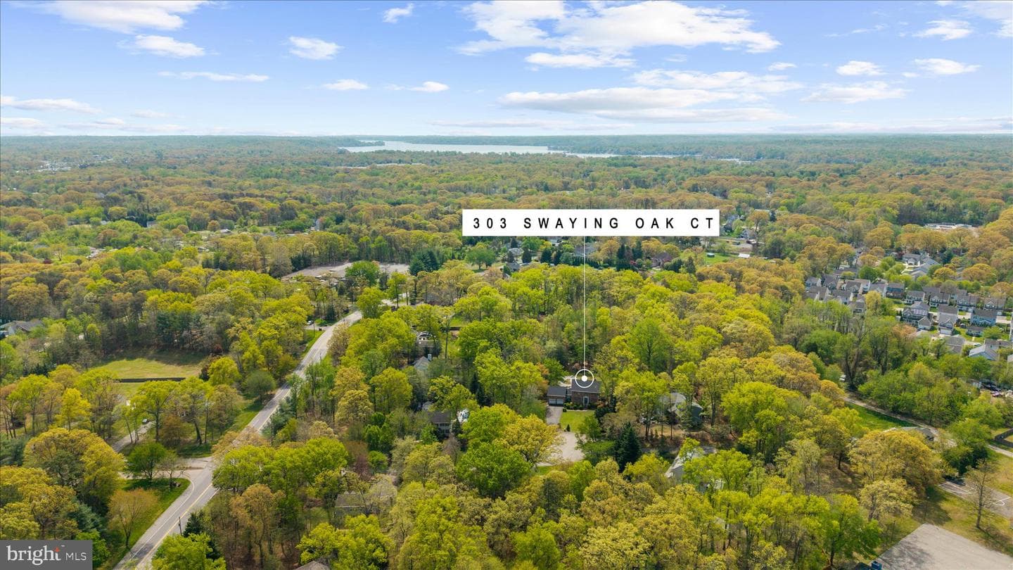 303 Swaying Oak Court photo 64