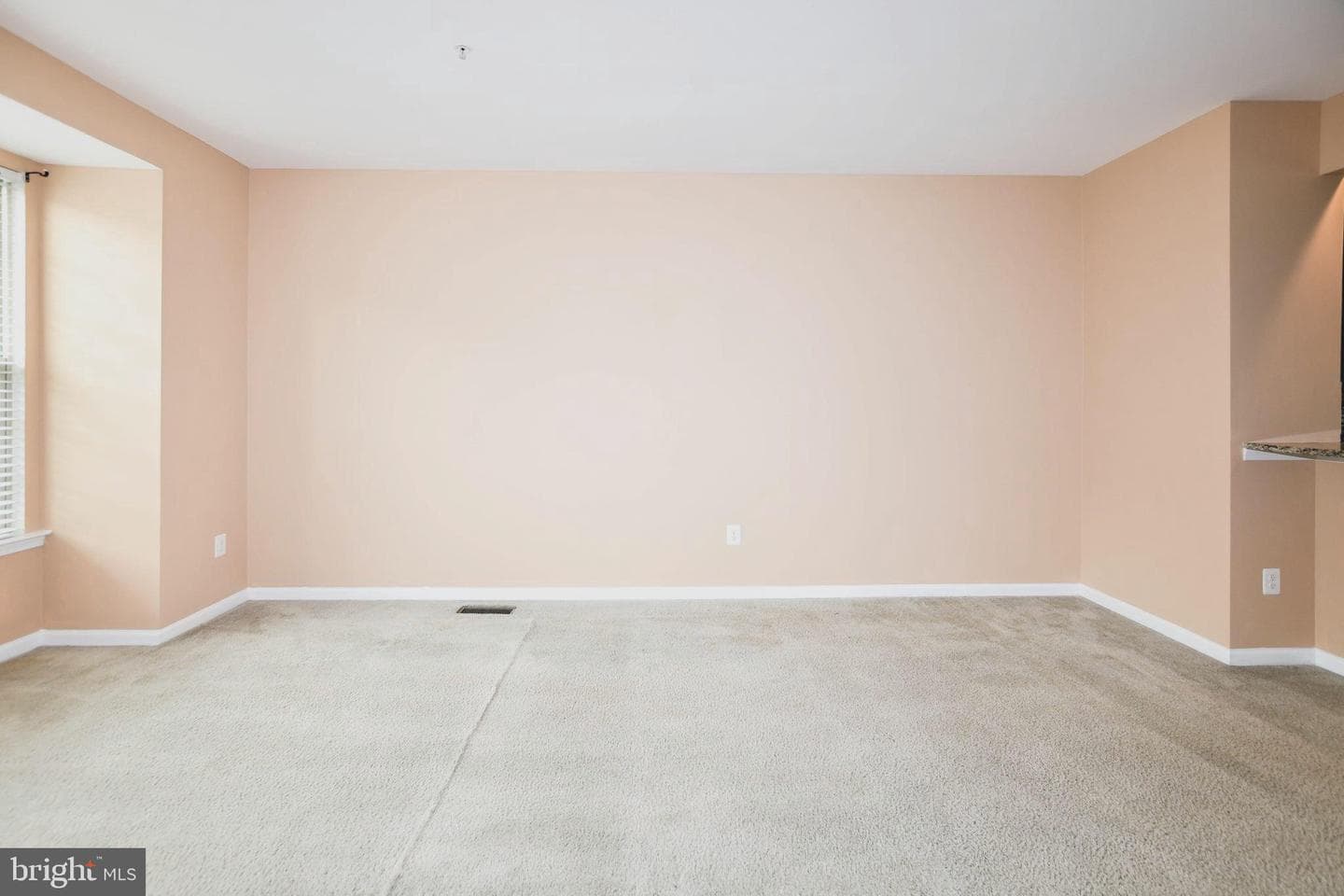 324 Eagles Ridge Way photo 22