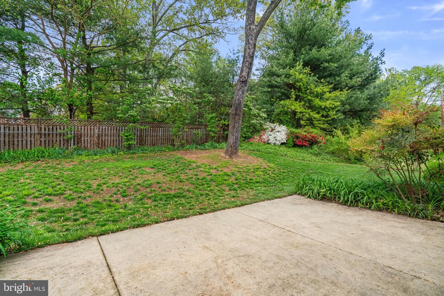 10 Carole Court photo 42