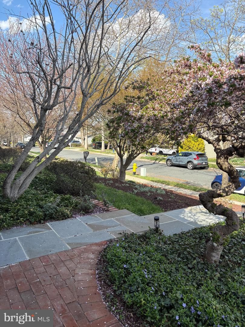 1126 Neptune Place photo 78