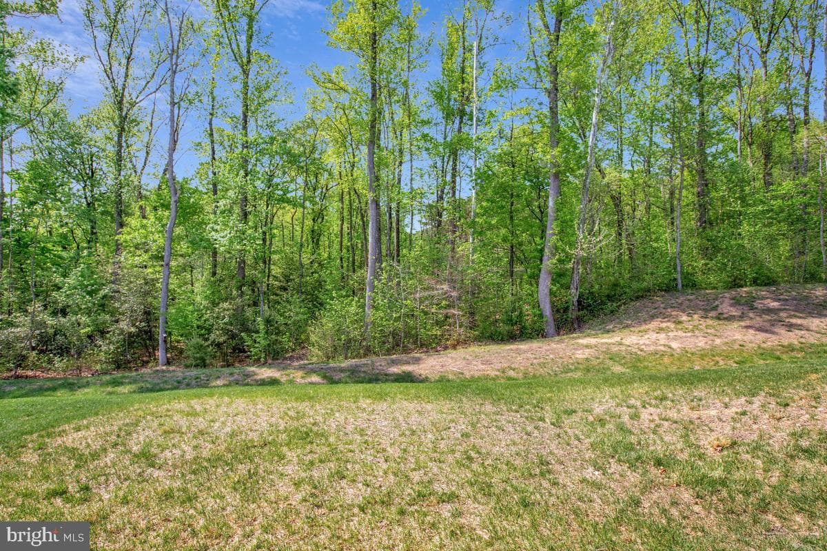1536 Catbriar Way photo 39