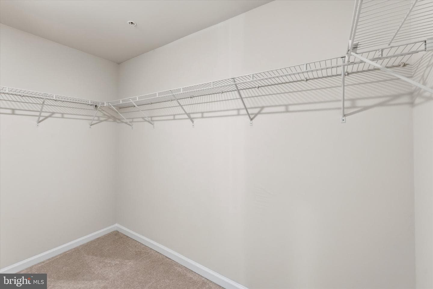 7713 Cresap Lane photo 24