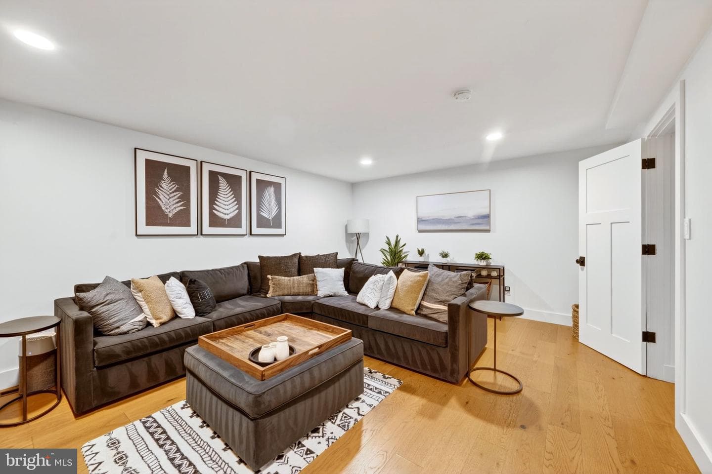 300 White Plains Court photo 45