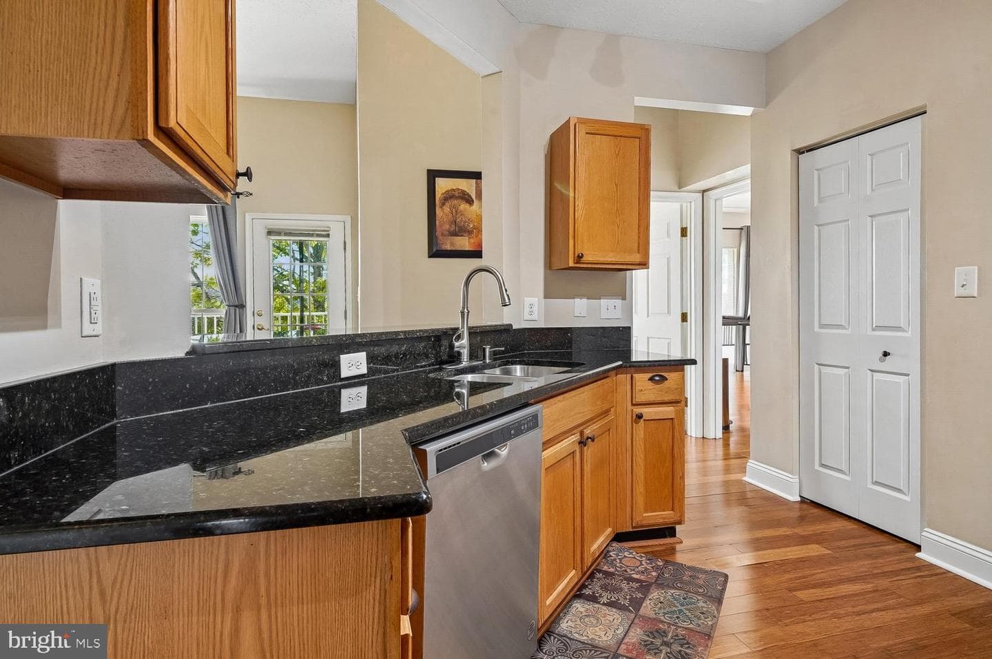 2400 Chestnut Terrace Court #303 photo 10