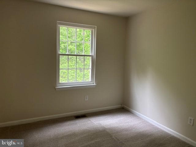 7910 Della Rosa Court photo 11
