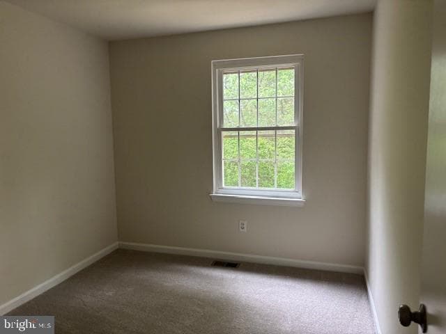 7910 Della Rosa Court photo 12