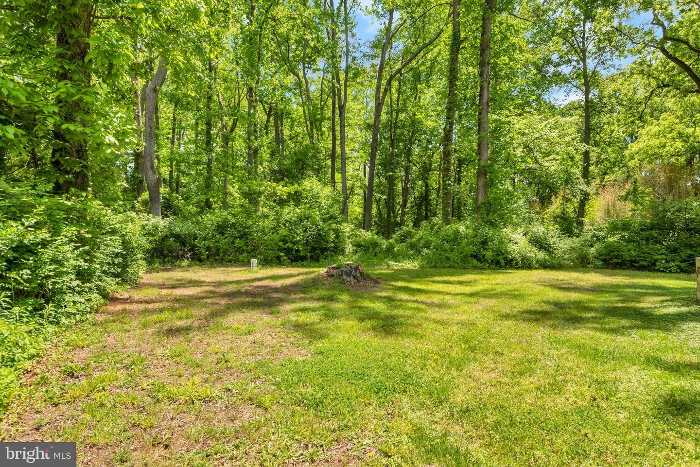 3909 River Club Drive photo 36