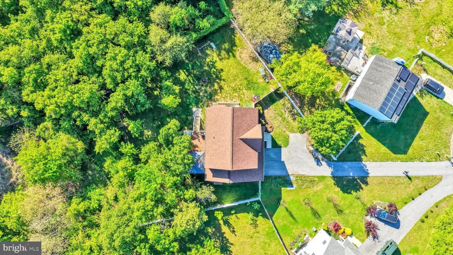 1215 Scattered Pines Court photo 3