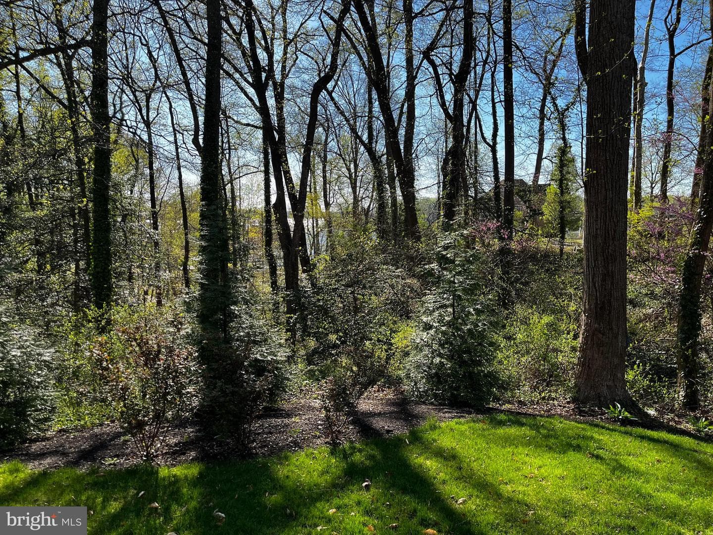949 Buttonwood Trail photo 41