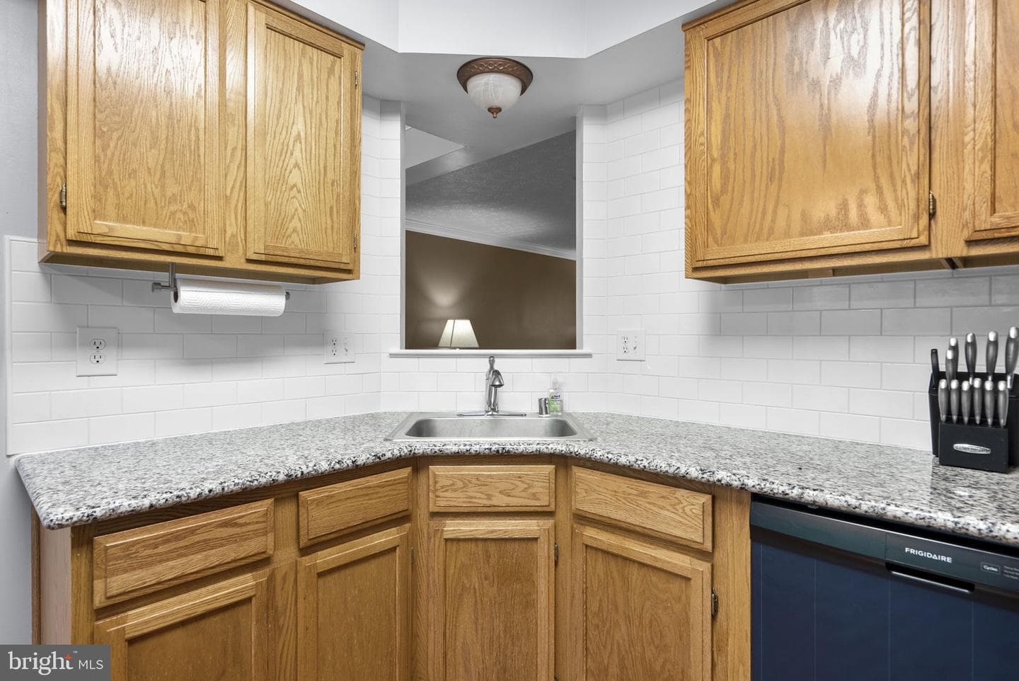 319 Rock Springs Court photo 9