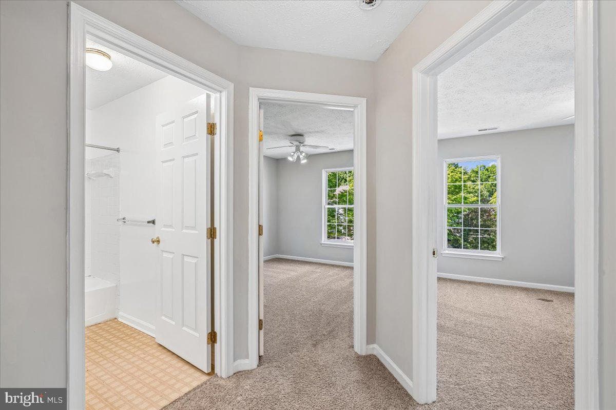 3220 Orient Fishtail Road photo 27